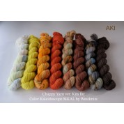 AKI Kit for Westknits “Color Kaleidoscope” MKAL