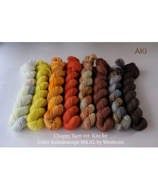 AKI Kit for Westknits “Color Kaleidoscope” MKAL