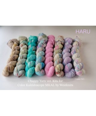 HARU Kit for Westknits “Color Kaleidoscope” MKAL